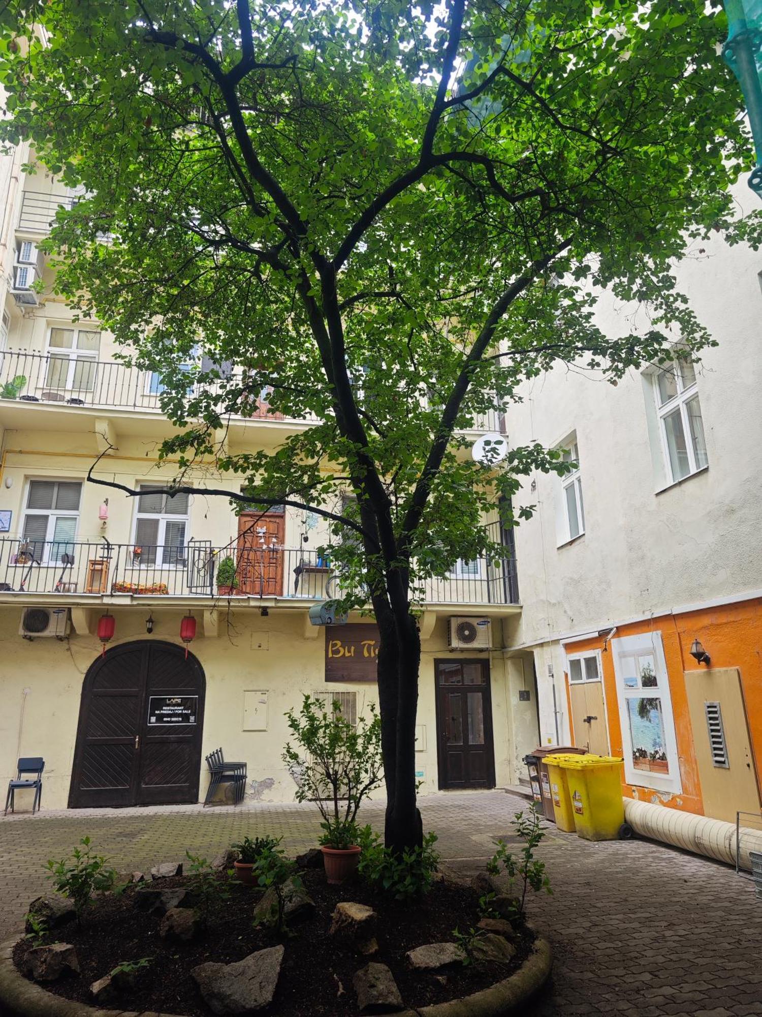 Laurinska Modern Apartment In Direct Centrum Of Bratislava, Air-Condition Buitenkant foto